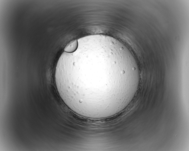 X0000088690359200705311002
