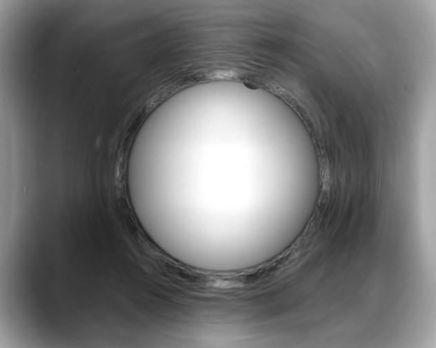 X0000088690360200705311002