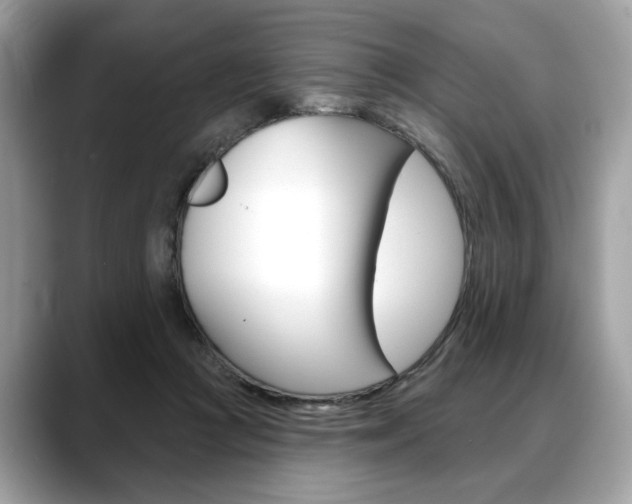 X0000088690361200705311002