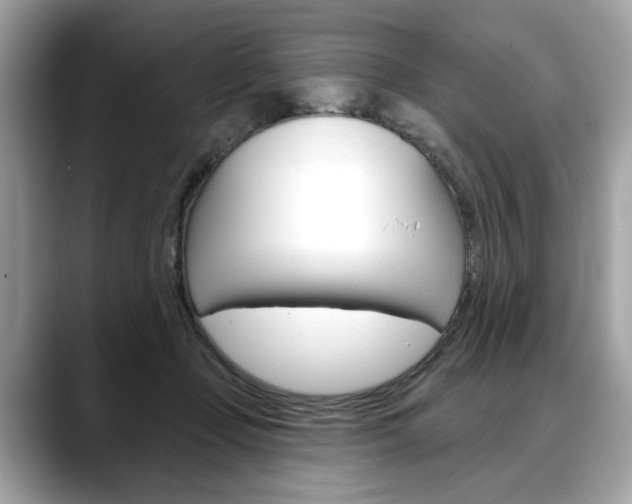 X0000088690365200705311002