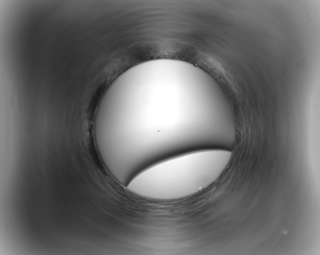 X0000088690366200705311002