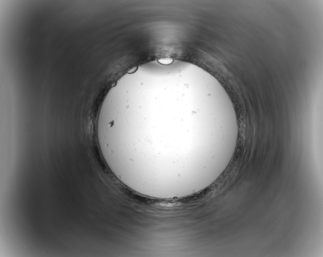 X0000088690375200705311002