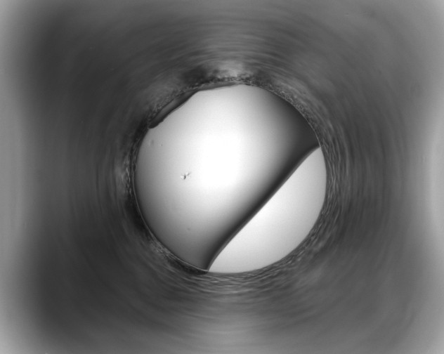 X0000088690376200705311002