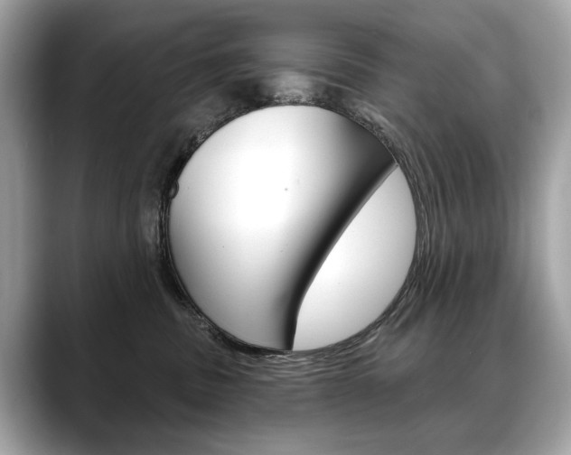 X0000088690379200705311002