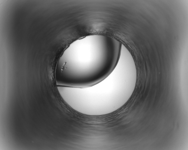 X0000088690380200705311002