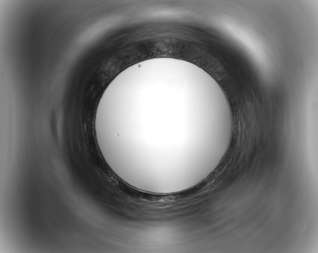 X0000088690382200705311002