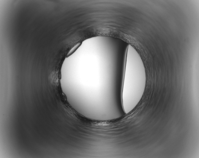 X0000088690383200705311002