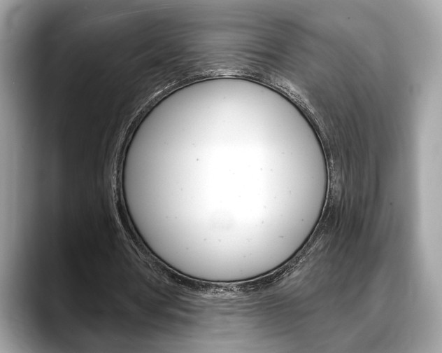 X0000088690386200705311002