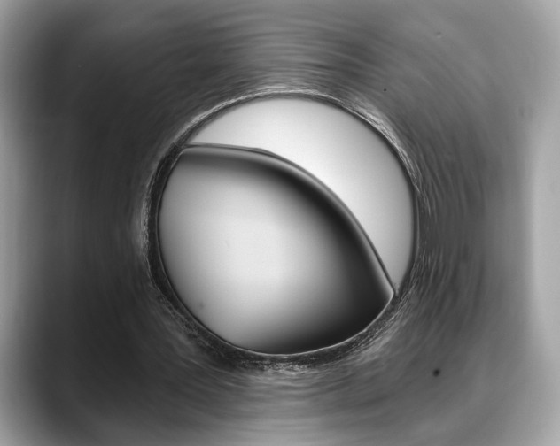 X0000088690387200705311002