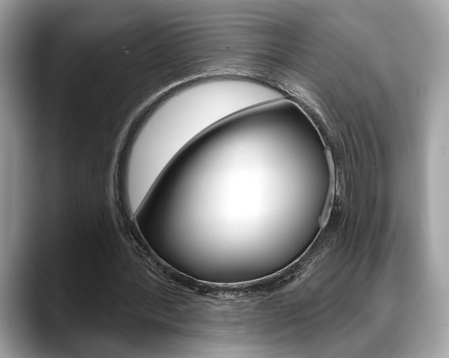 X0000088690388200705311002