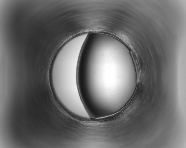X0000088690389200705311002