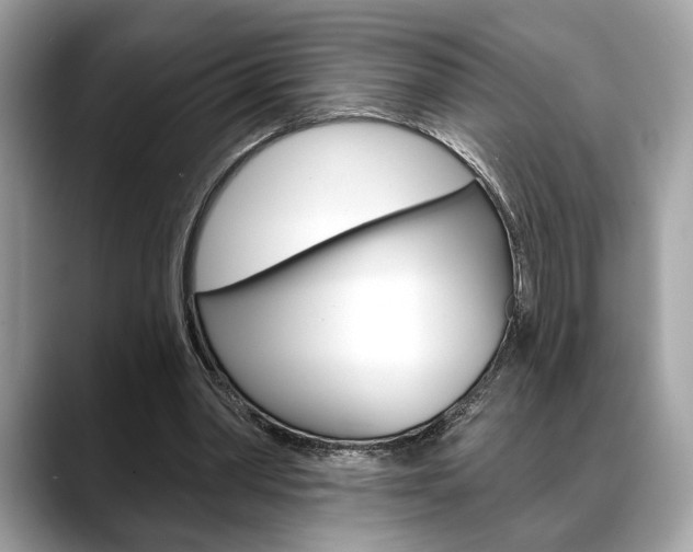 X0000088690390200705311002