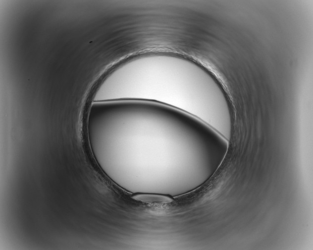 X0000088690391200705311002