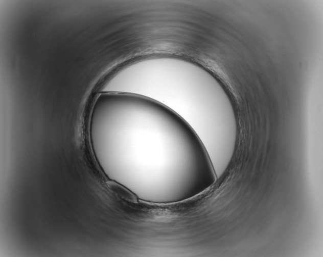 X0000088690392200705311002