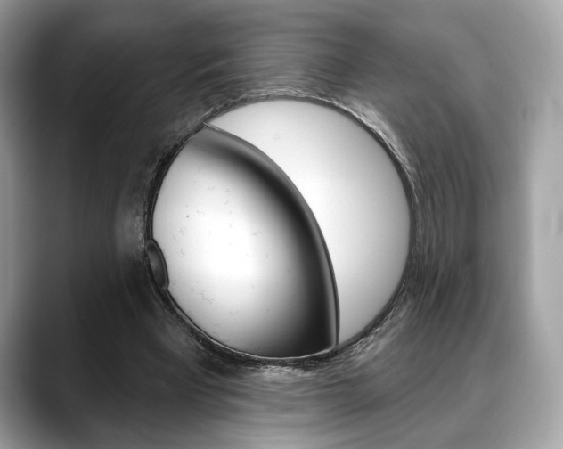 X0000088690393200705311002