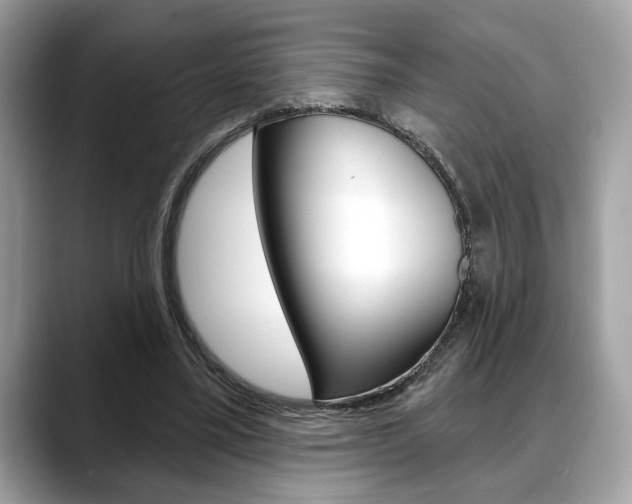 X0000088690395200705311002