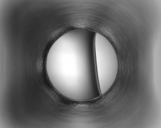 X0000088690400200705311002