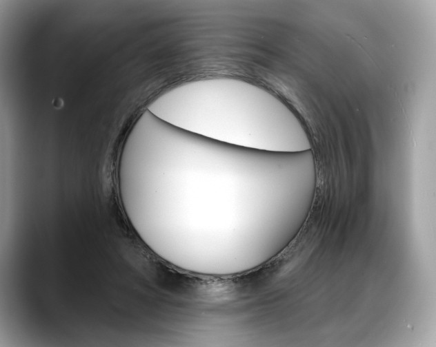 X0000088690402200705311002