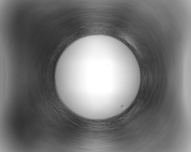 X0000088690407200705311001