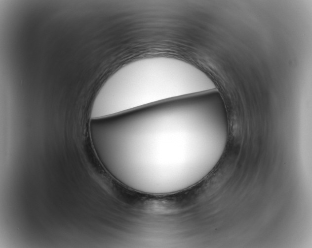 X0000088690408200705311001
