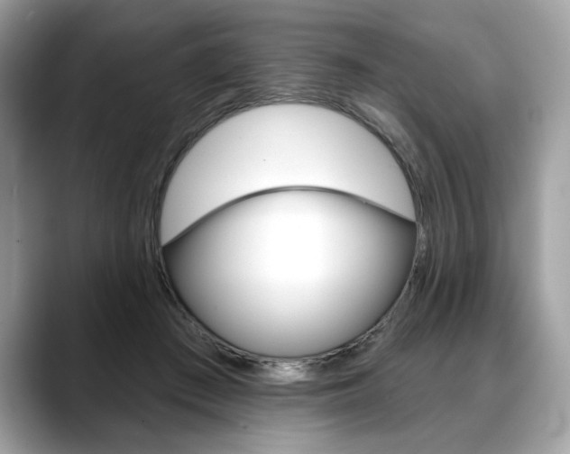 X0000088690409200705311001