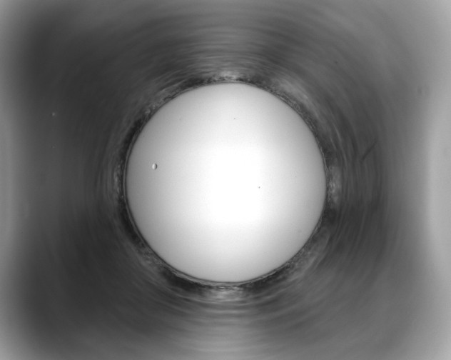 X0000088690410200705311001
