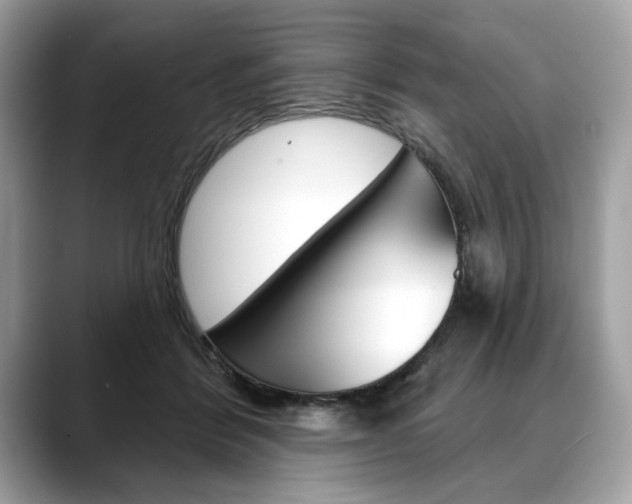 X0000088690412200705311001