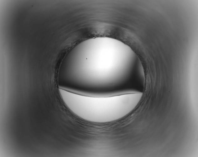 X0000088690416200705311001