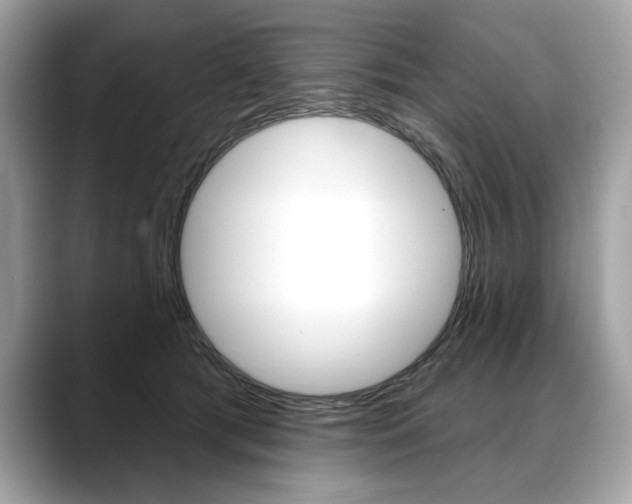 X0000088690417200705311001
