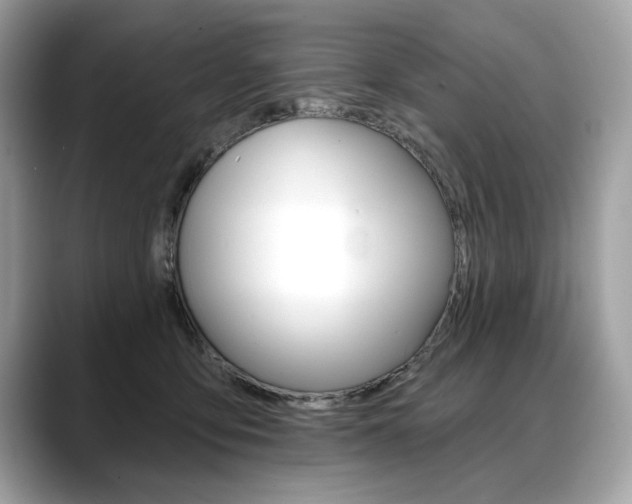 X0000088690419200705311001