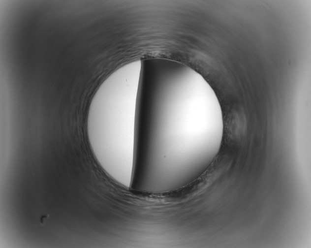X0000088690420200705311001