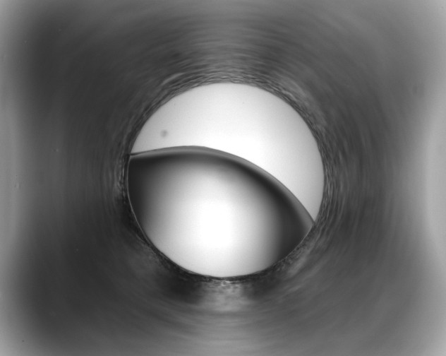 X0000088690421200705311001