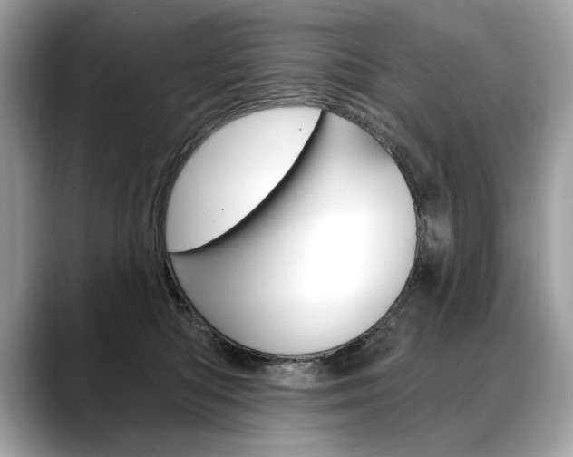 X0000088690422200705311001