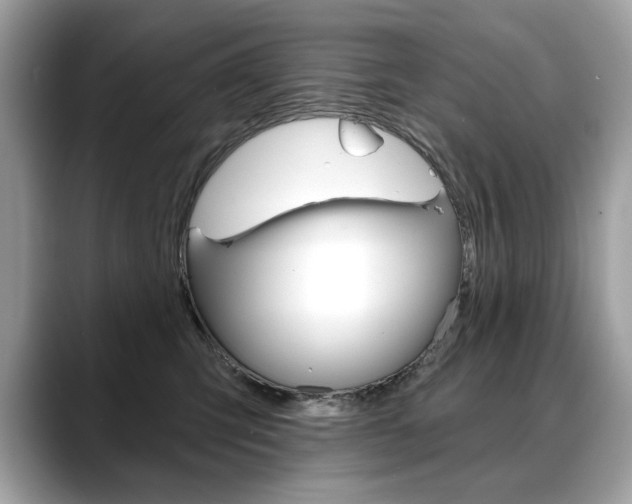 X0000088690423200705311001