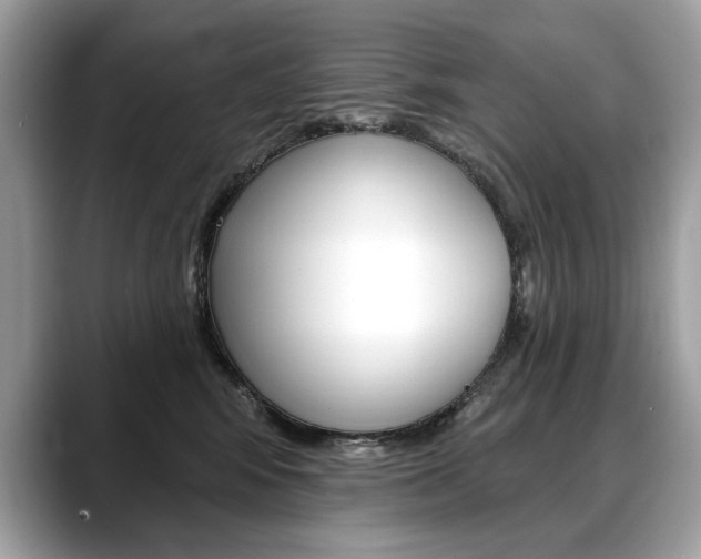 X0000088690424200705311001