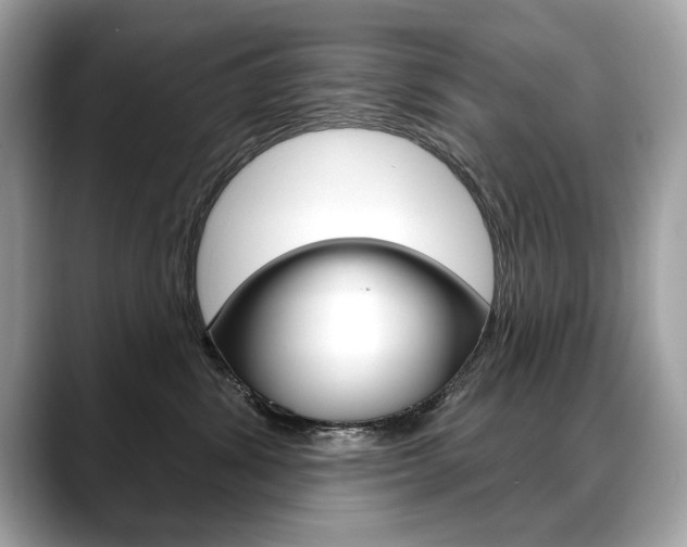 X0000088690428200705311001