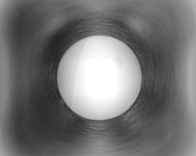X0000088690431200705311001