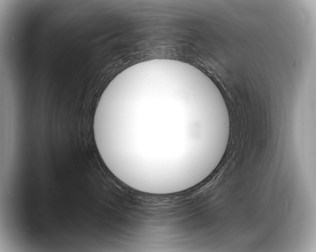 X0000088690432200705311001