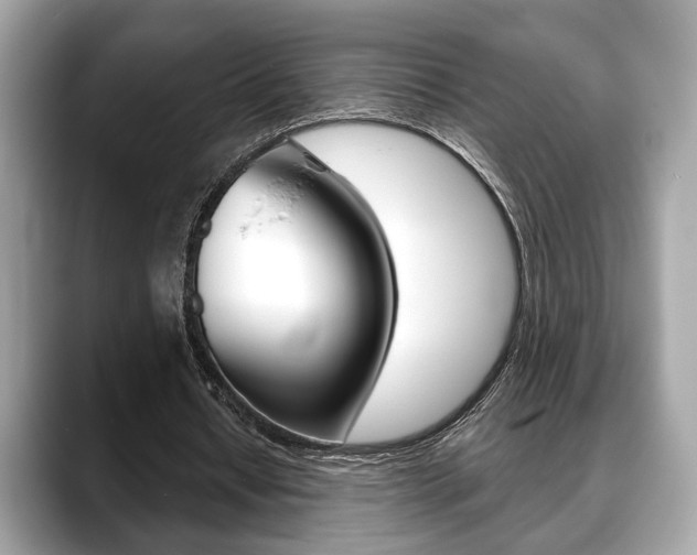 X0000088690434200705311001