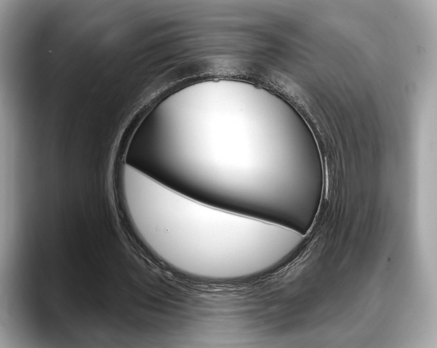 X0000088690435200705311001