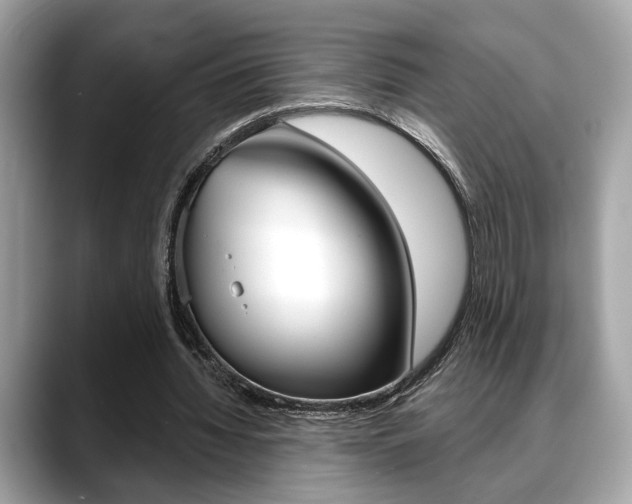 X0000088690436200705311001