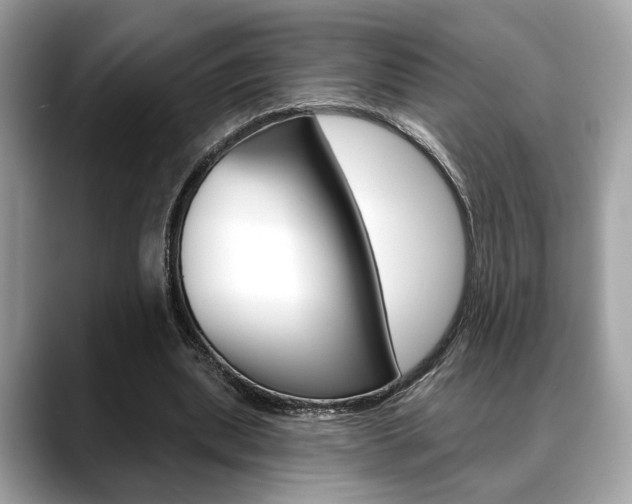 X0000088690439200705311001