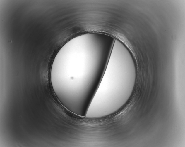 X0000088690441200705311001