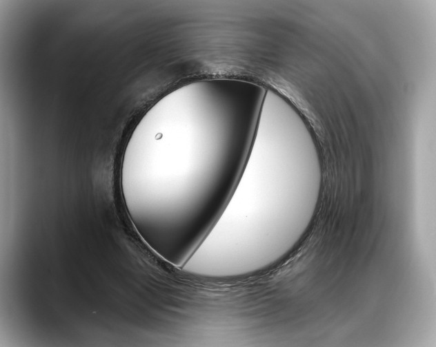 X0000088690442200705311001