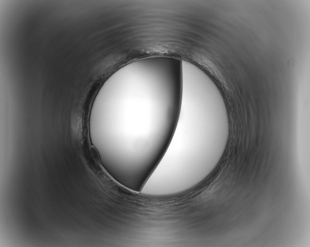 X0000088690444200705311001