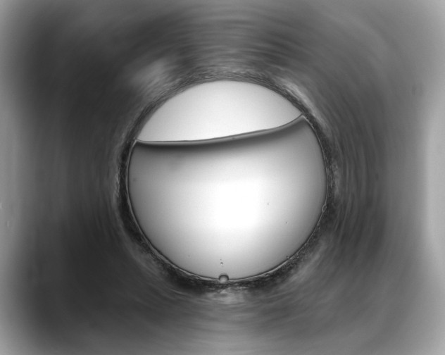 X0000088690447200705311001