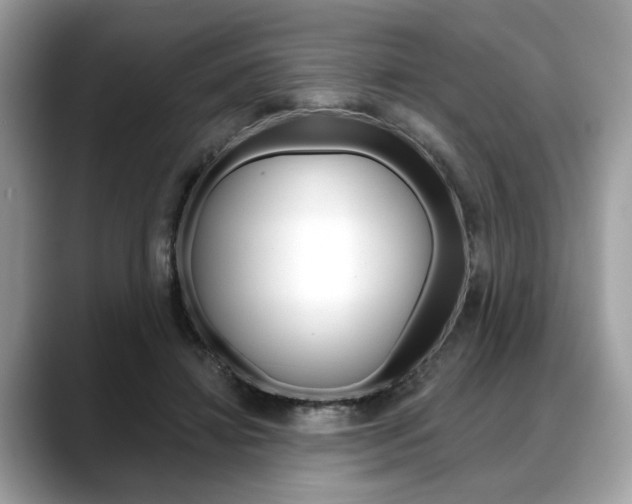 X0000088690452200705311001