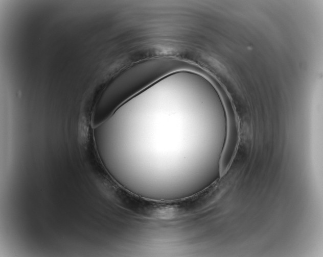 X0000088690456200705311001