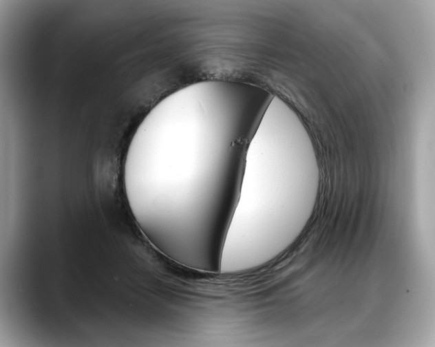 X0000088690458200705311001