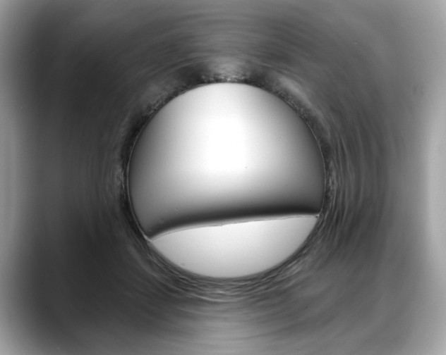 X0000088690459200705311001